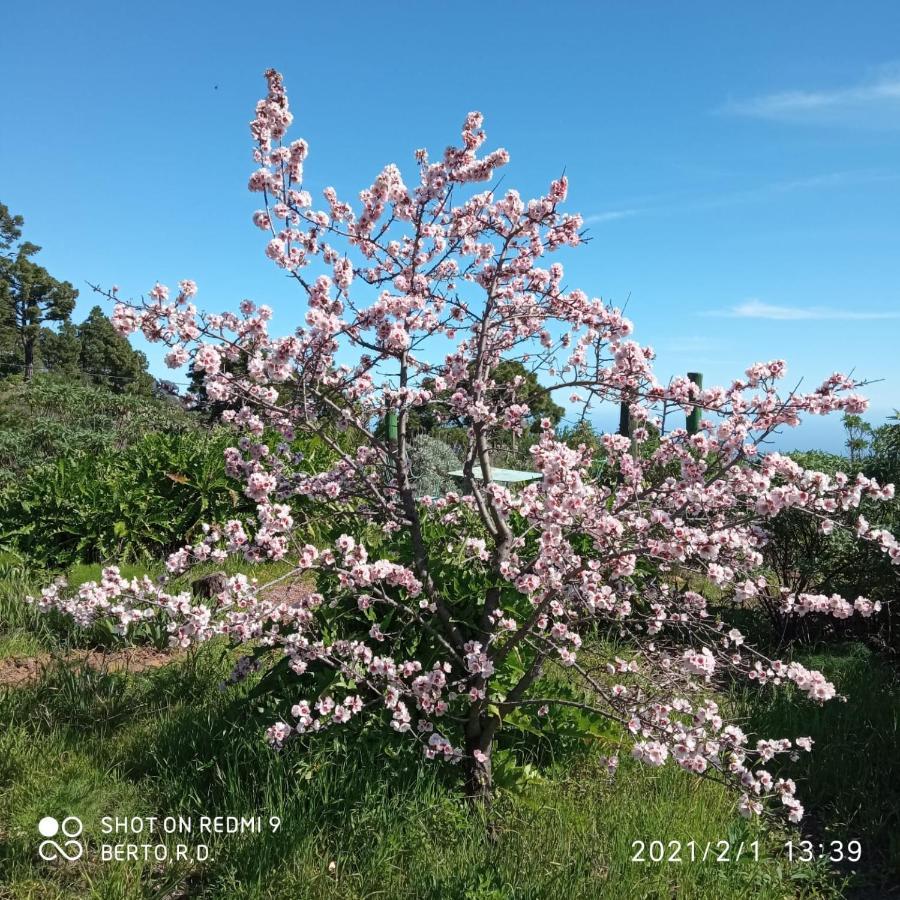Casa Imeldo Y Eloisa Apartment El Pinar  ภายนอก รูปภาพ