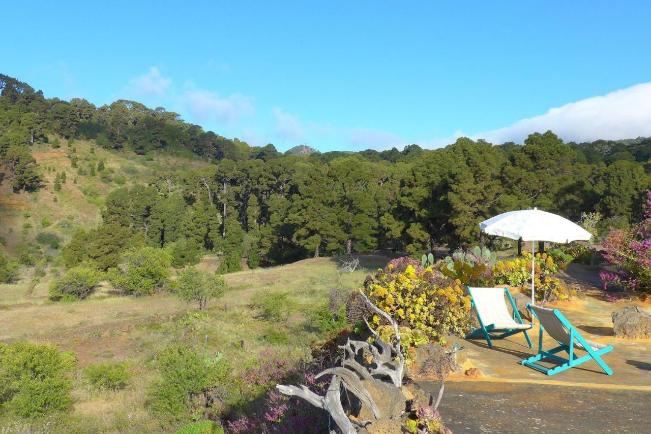 Casa Imeldo Y Eloisa Apartment El Pinar  ภายนอก รูปภาพ